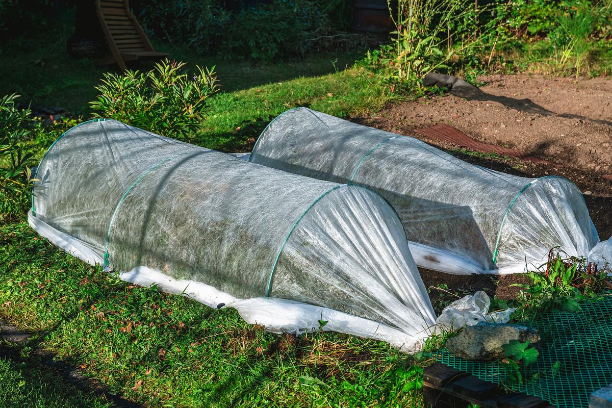 Low tunnels can extend the growing season by creating a warmer microclimate around cool-weather crops. (Olga Ilina/Shutterstock)
