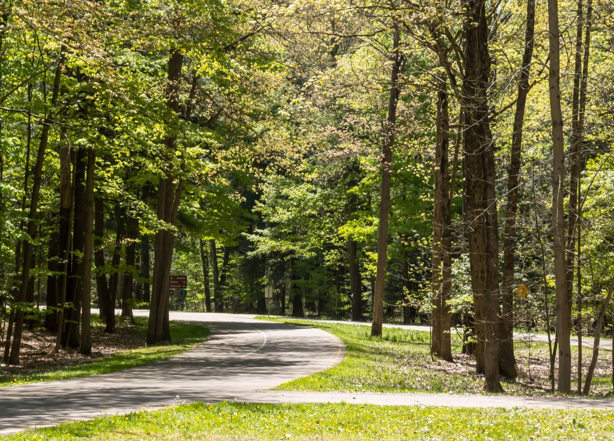 Reclaiming the Middle: Chautauqua’s Slow Push Toward Balance