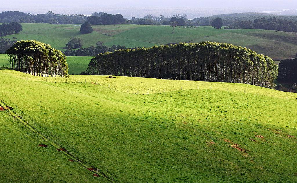 Senate Rejects Inquiry Into Sale of Tasmania’s Biggest Farm, 9,000 Hectares for Carbon Credit Use