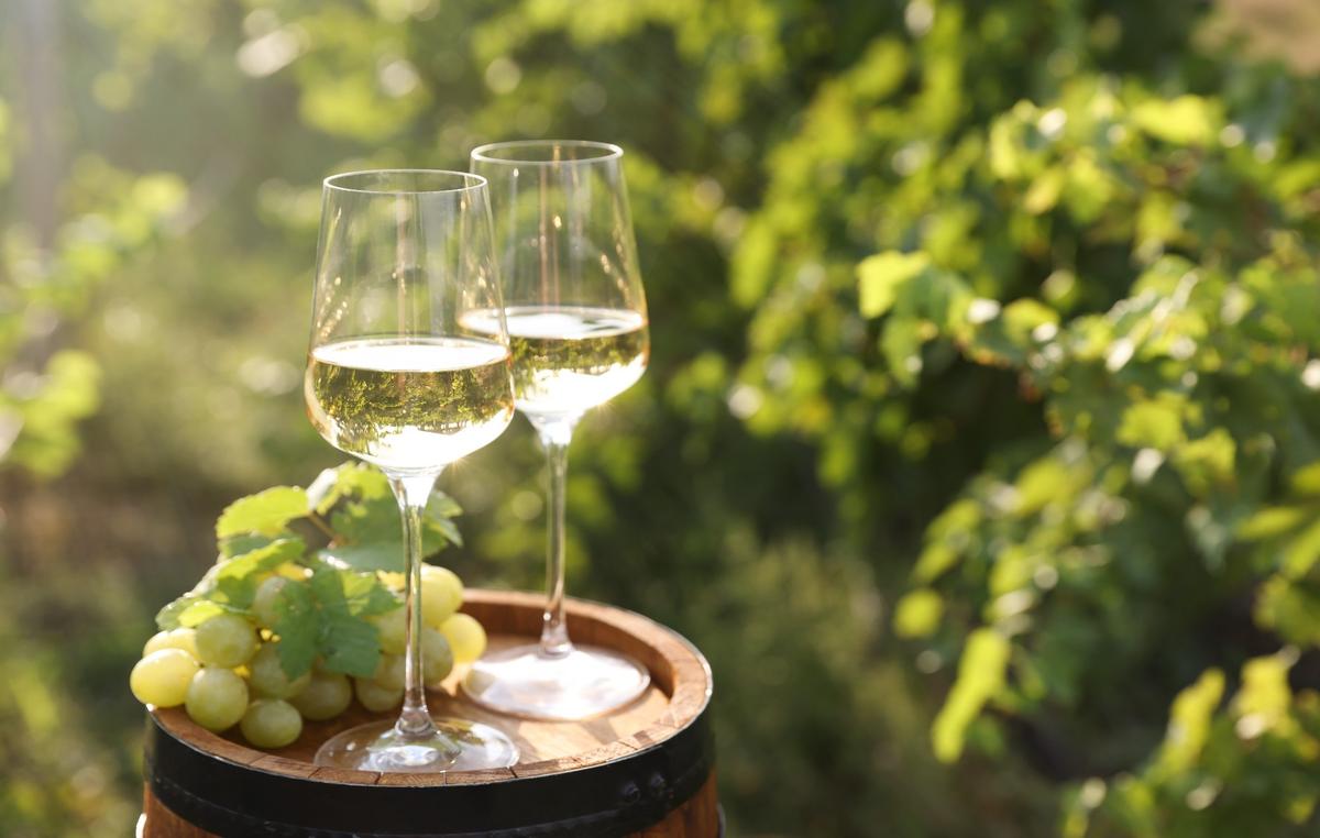 What Slaughtered Pigs Can Teach Us About Europe’s Wine Policy