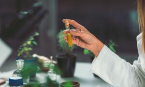 Not a Placebo: Scientific Evidence Exists for Homeopathy