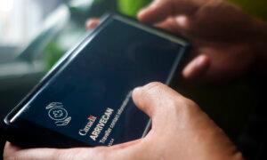 Government Official Directed Accounting Firm to Work With GC Strategies on ArriveCan