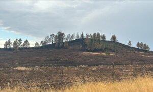 ‘Unprecedented’ Wildfire Rages Through Wyoming’s Bighorn National Forest
