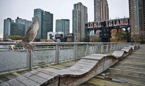 A seagull flying while holding fish scraps near a former dock facility, with "Long Island" painted on old transfer bridges at Gantry State Park in the Long Island City section of the Queens Borough of New York, on Nov. 13, 2018. (Bebeto Matthews/AP Photo)