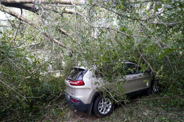 A car is covered in branches in the aftermath of Hurricane Sally, Friday, Sept. 18, 2020, in Pensacola, Fla. (Gerald Herbert/AP Photo)