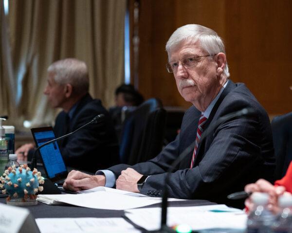 NIH Director Dr. Francis Collins listens during a Senate Appropriations Labor, Health and Human Services Subcommittee hearing looking into the budget estimates for the National Institutes of Health (NIH) and the state of medical research in Washington on May 26, 2021. (Sarah Silbiger-Pool/Getty Images)