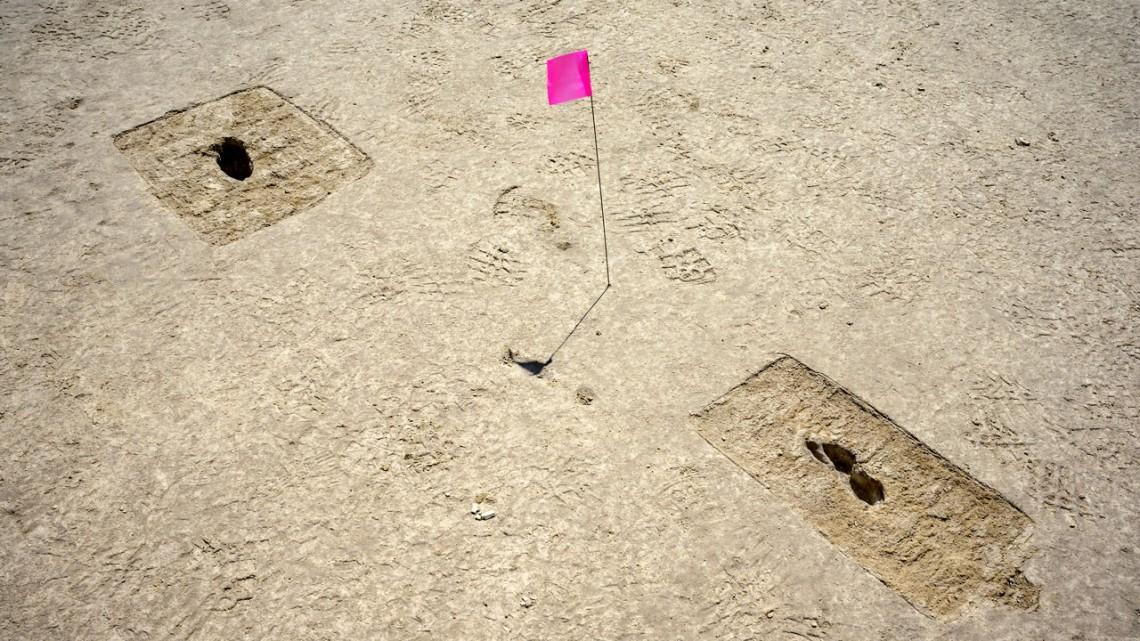 Footprints discovered at an archaeological site are marked with a pin flag on the Utah Test and Training Range. (Courtesy of R. Nial Bradshaw via Cornell University)