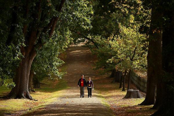 A couple walk hand in hand down a lane lined with oak trees in the Port Arthur Historical Site in Australia, on April 18, 2016. (Mark Kolbe/Getty Images)