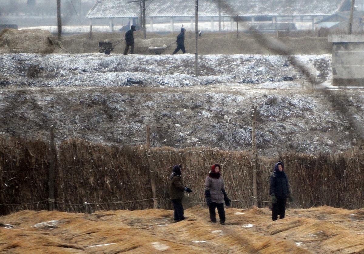 North Korean farmers work in their fields outside the capital Pyongyang in 2008. Current food and money shortages have forced North Korean soldiers to raid farms in order to stay fed. (Mark Ralston/Getty Images)