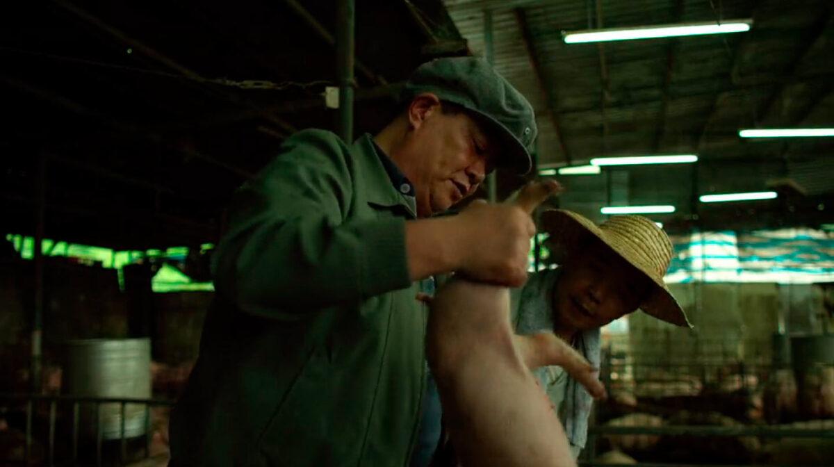 Movie extras handling pigs in 2011's "Contagion." (Warner Bros.)