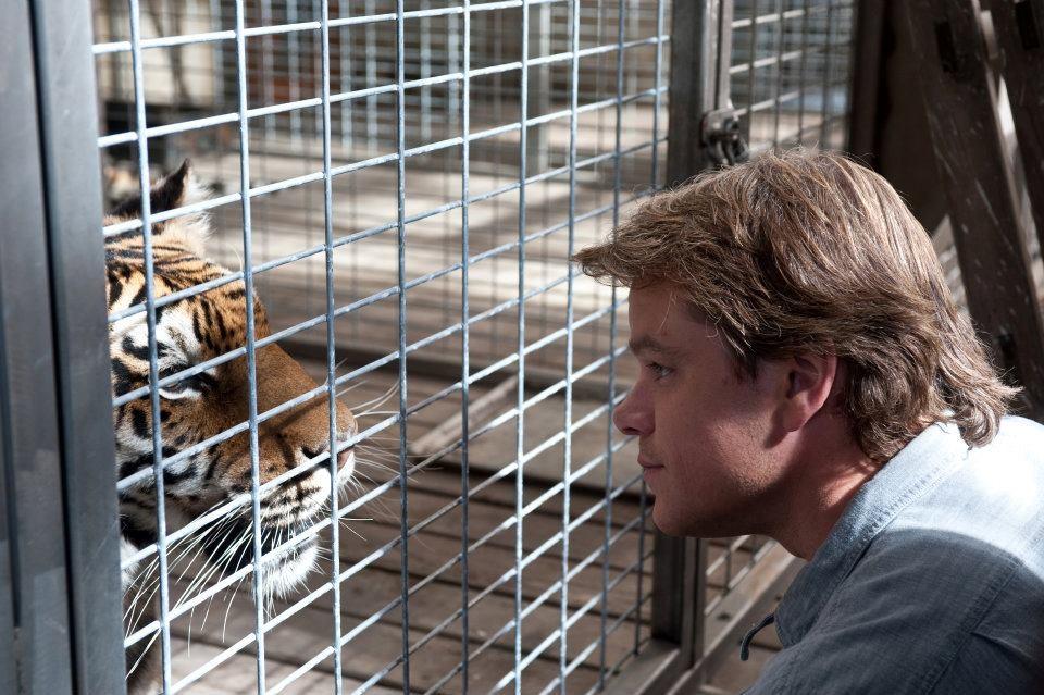 Benjamin Mee (Matt Damon) makes friends with Spar the tiger in the zoo he now owns, in "We Bought a Zoo." (Neal Preston/Twentieth Century Fox Film Corporation)
