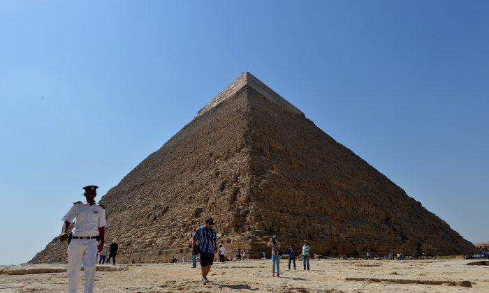 Giza Secret Revealed: Massive Herd May Have Been Used to Feed Workers