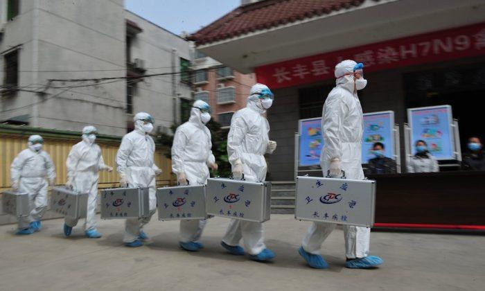 Bird Flu Officially Arrives in Beijing, Days Behind ‘Rumors’