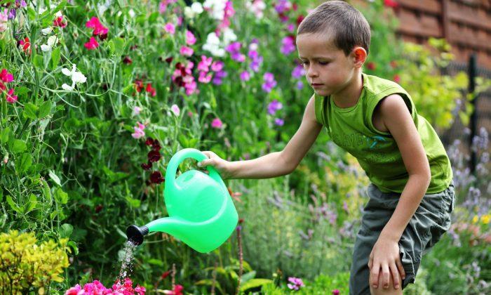 Four Gardens to Grow With Your Kids 