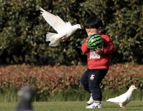 Chinese Boy Develops Bird Flu After Father
