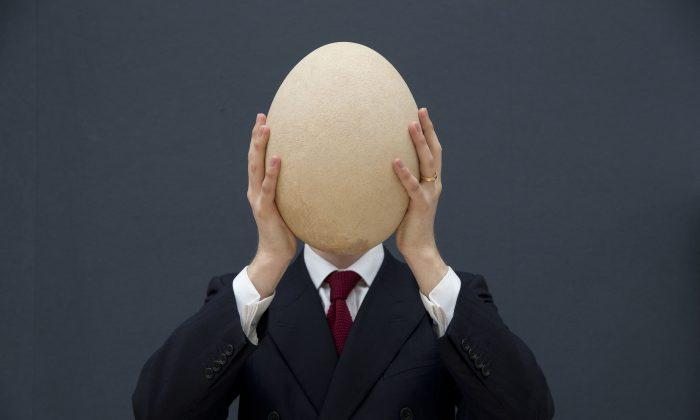 Huge Egg: $101,813 Sale at UK Auction (+Photos)