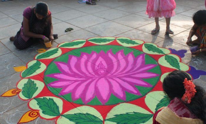 Reminiscent Tales of Indian Lotus Flower