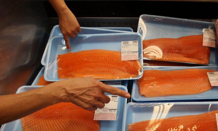 Superfish: FDA Reviews First GE Animal for Human Consumption