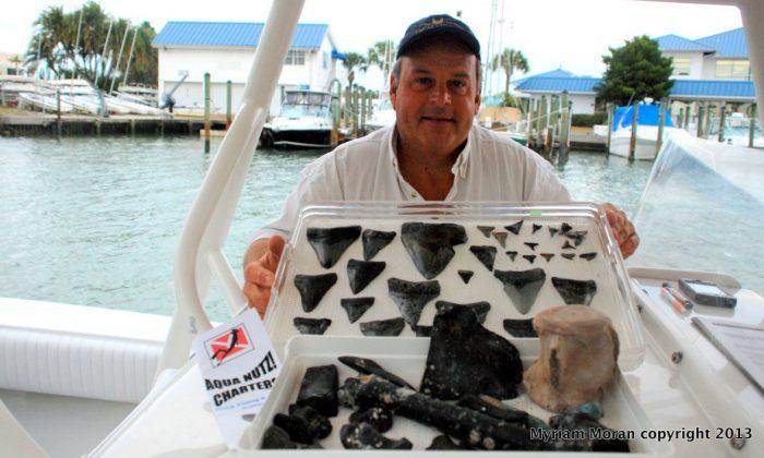 Venice, Florida: Shark’s Tooth Capital of the World