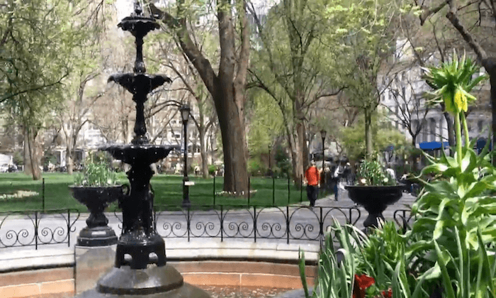 New Yorkers and Tourists Enjoy Springtime (+Video)