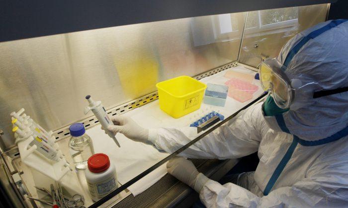 The H7N9 Bird Flu is Highly Virulent, Mutates Fast, Research Suggests