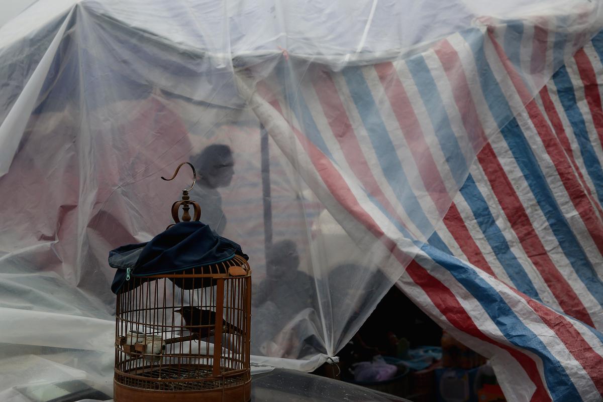 Armageddon Survival Packs Aid Chinese Family After Quake