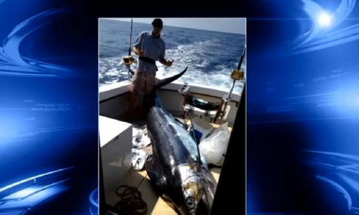 Make-A-Wish Teen Catches 759-Pound Marlin in Hawaii (+Photo)