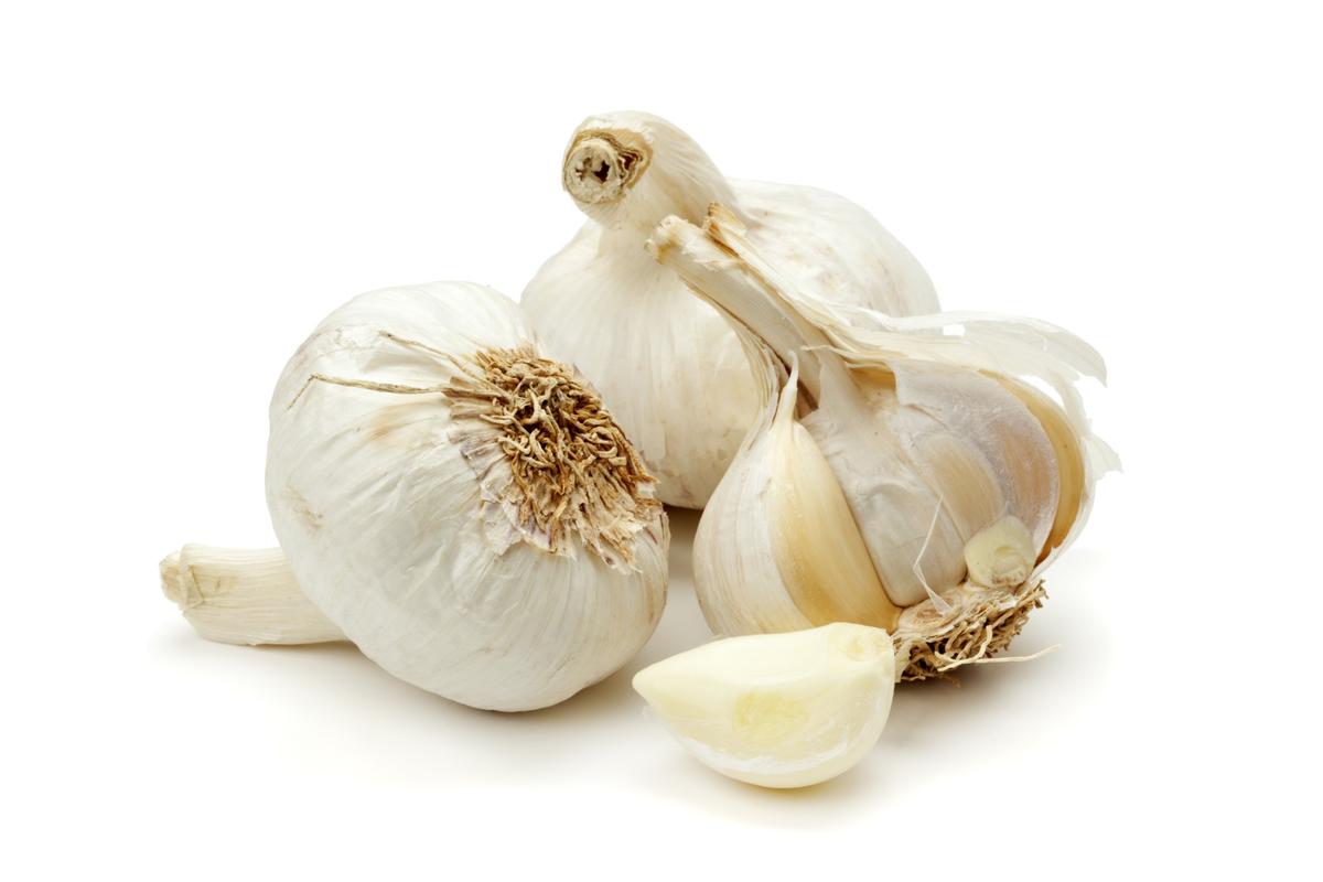 Garlic: Nature’s Antibiotic
