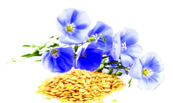 Bounce Back With Linseed