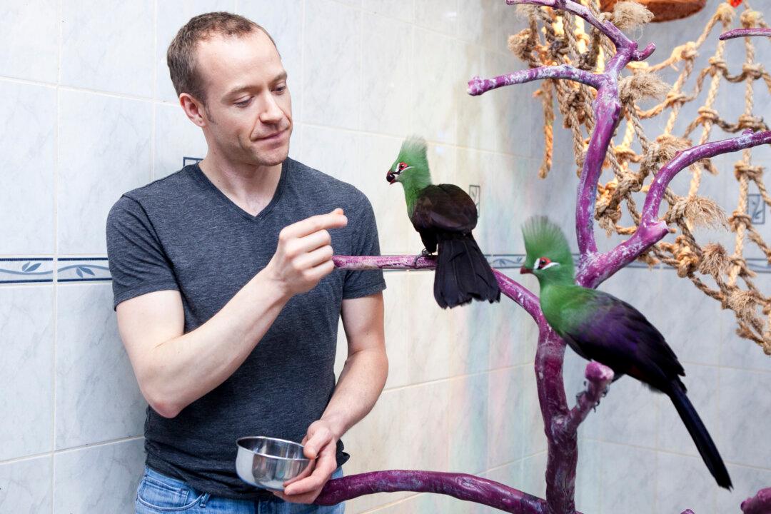 This Is New York: Daniel Kopulos on Saving Guatemalan Jungle Animals