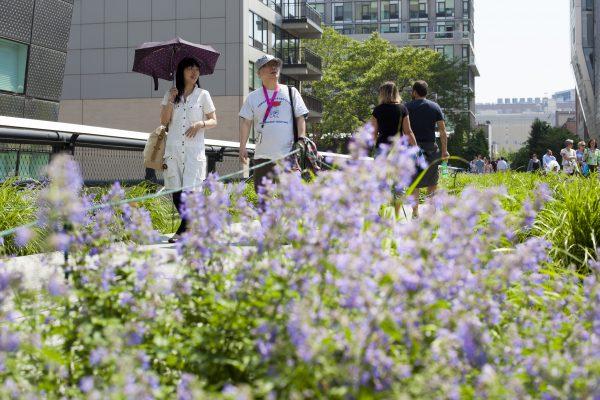 People enjoy a walk along the High Line on a sunny afternoon in New York, May 29, 2013. (Samira Bouaou/The Epoch Times)