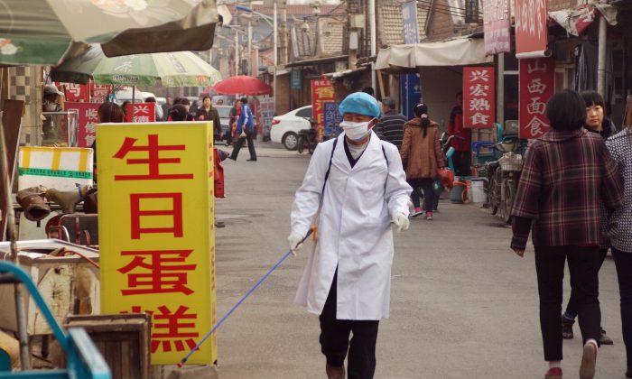 H7N9 Bird Flu Spreads by Direct Contact in Mammals
