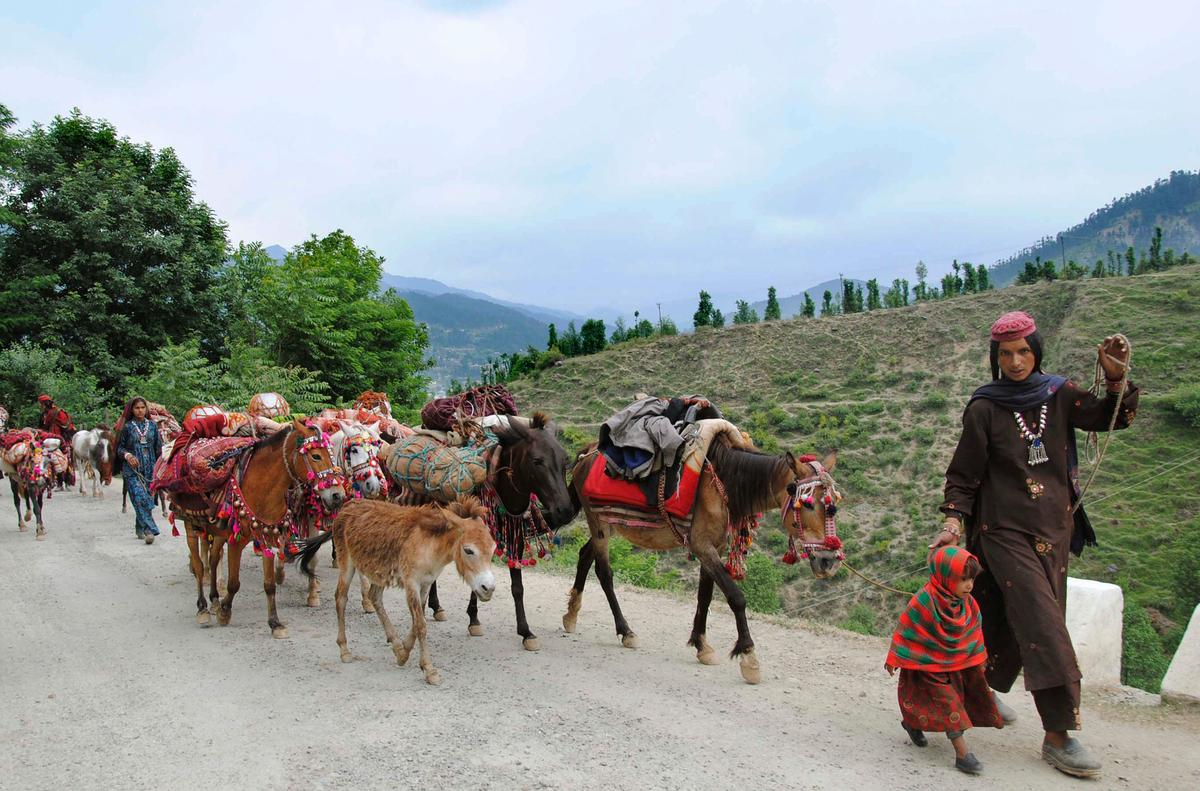 Mild Earthquake in Northern India