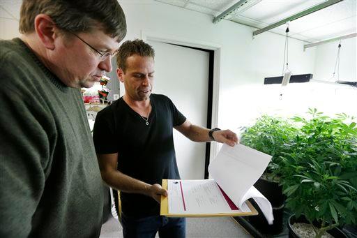 Draft Rules for Pot Industry in Washington Coming