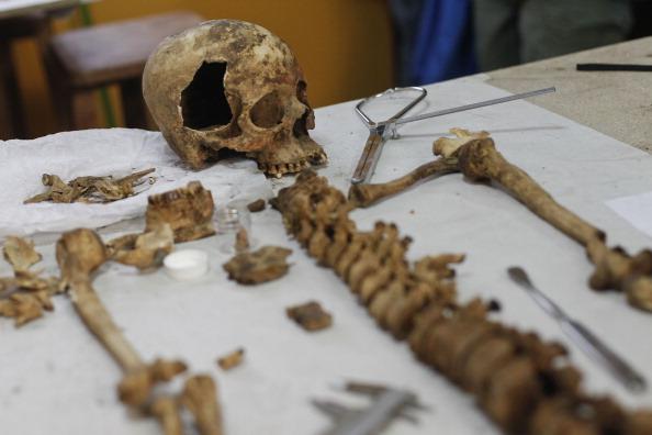 Tomb Discovered in Peru Includes Wari Mummified Royalty (+Photos)
