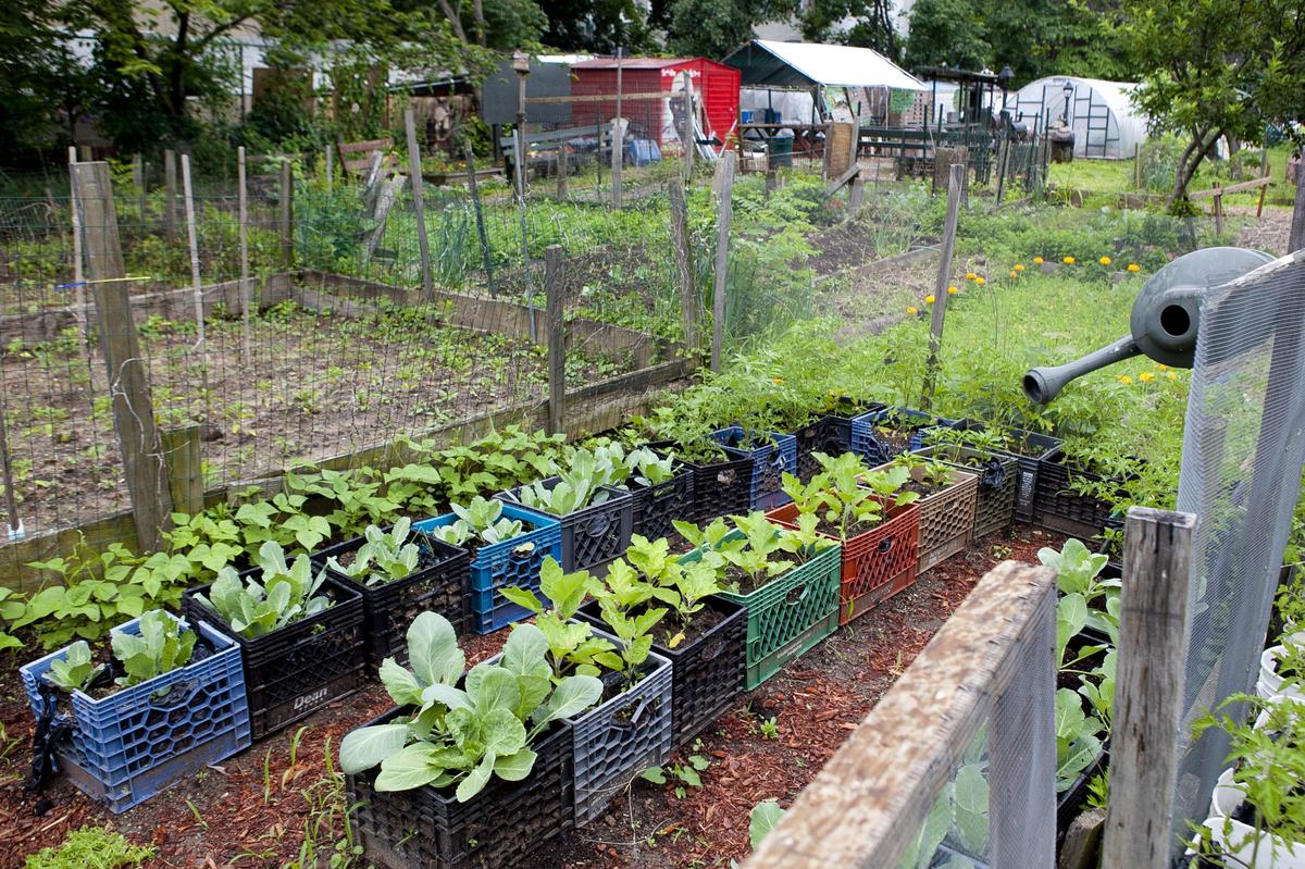 Bicycle Blender Project Provides Smoothies for the Price of a Ride