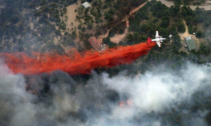 Q & A: What’s Going on with the Wildfires in the US?