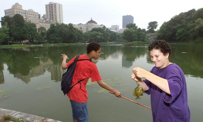 Central Park Conservancy Invites Families to Come and Fish