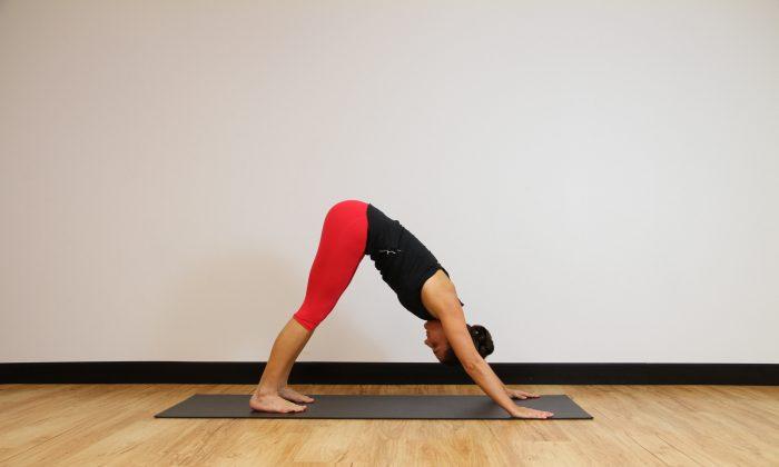Move of the week: Down Dog Push Up + Leg Extension