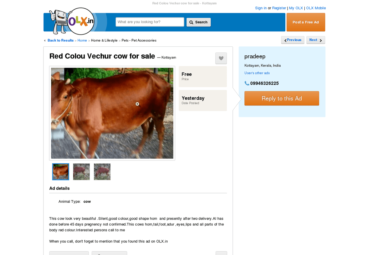 Indian Farmers Tapping Potential of Online Advertisements