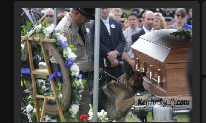 Police Dog Pays Respects to Slain Officer