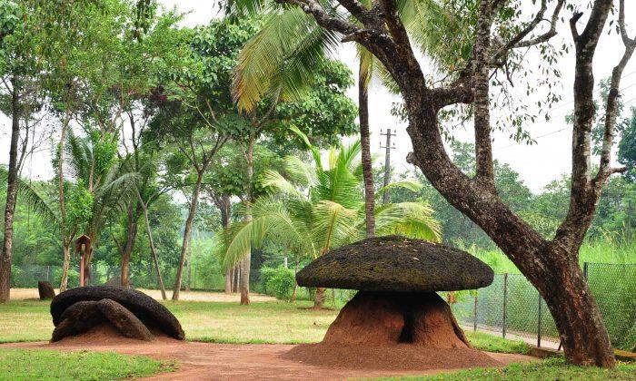 Megalithic Umbrella Stone Burial Site in India (Photos)