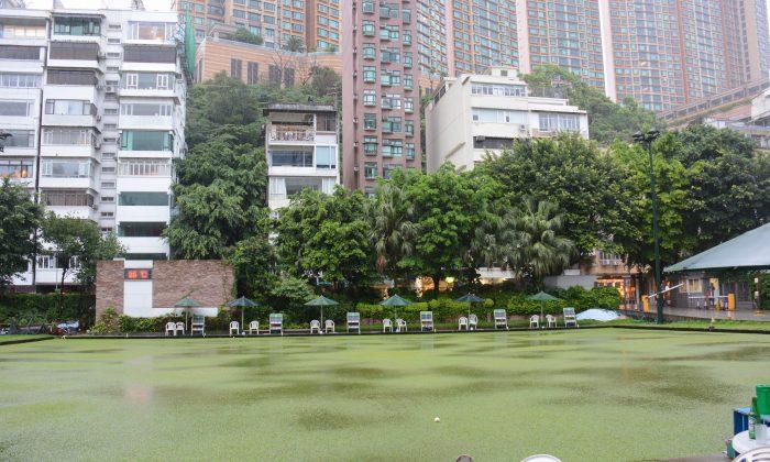 Hong Kong Lawn Bowls Finals Day Disrupted by Rainstorm