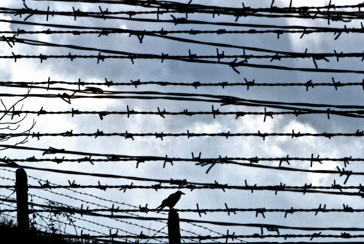 A bird behind barbed wire fences in Fort 13 of the Jilava Jail in Jilava, Romania, on Dec. 10, 2010. (Vadim Ghirda/AP Photo)
