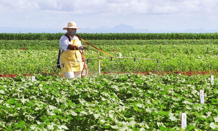 GMOs, A Global Debate: Brazil, Second Largest GMO Producer in World