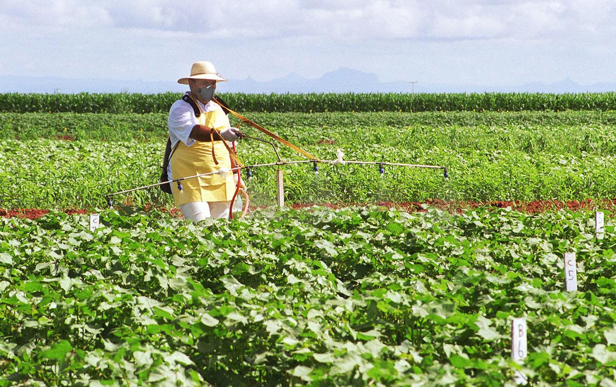GMOs, A Global Debate: Brazil, Second Largest GMO Producer in World