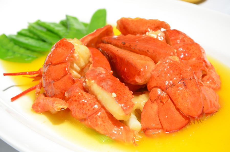 Radiance: Where Harmony Reigns