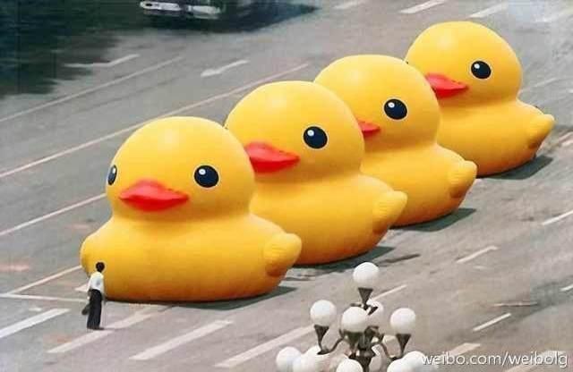 Rubber Duck to Live in Taiwan