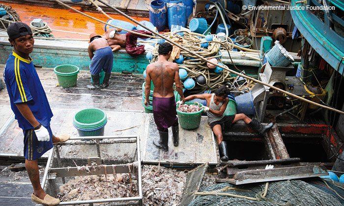 Pirate Fishing a Threat to the World’s Fisheries
