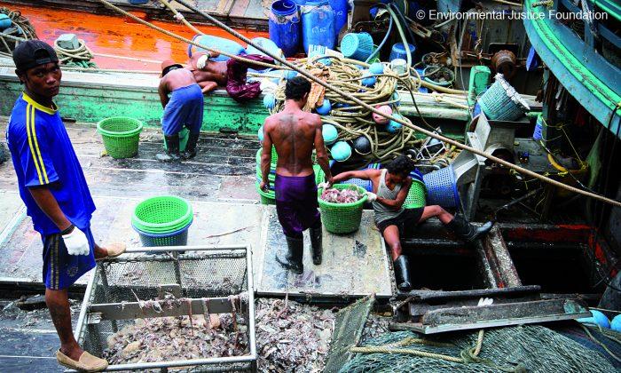 The Threat of Pirate Fishing to the World’s Fisheries
